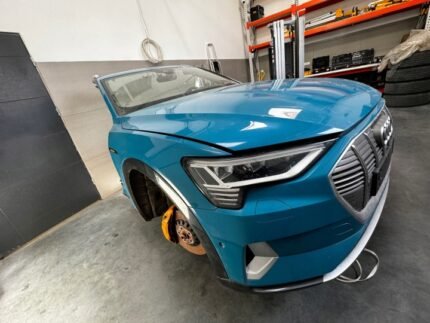 Audi e-tron 2019-2021 nose cut